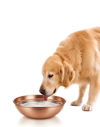 Pure Copper Pet Bowl for Dogs and Cats