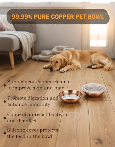 Pure Copper Pet Bowl for Dogs and Cats
