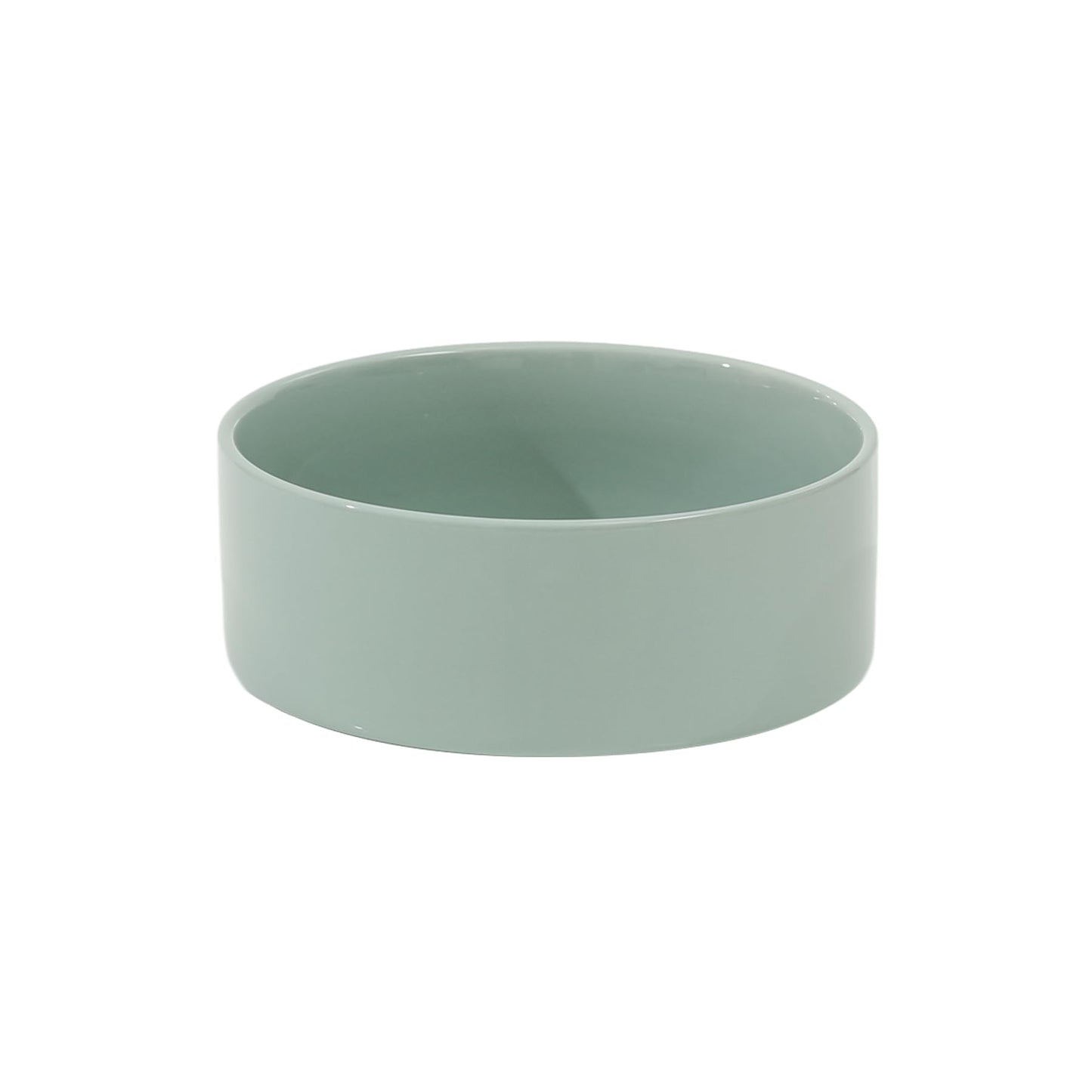 Glazed Dog Food Bowl