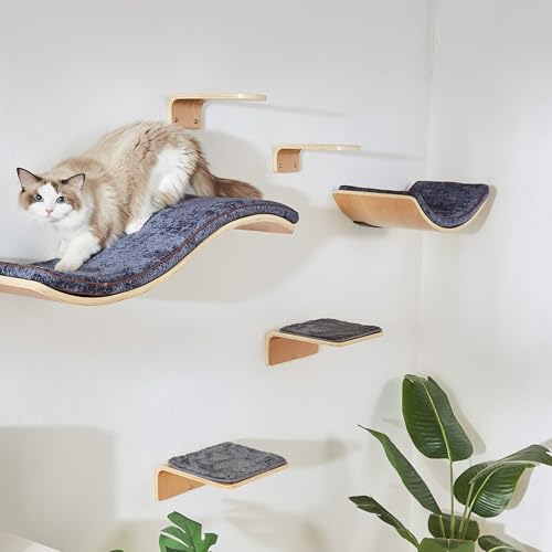 Curved Cat Wall Shelf Set with Steps & Perches