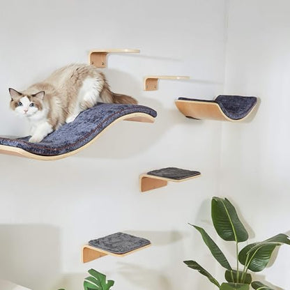 Curved Cat Wall Shelf Set with Steps & Perches