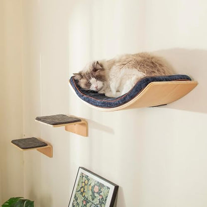 Curved Cat Wall Shelf Set with Steps & Perches