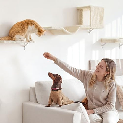 4-Piece Cat Wall Furniture Set with Scratching Post