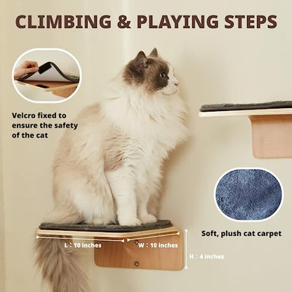 Curved Cat Wall Shelf Set with Steps & Perches