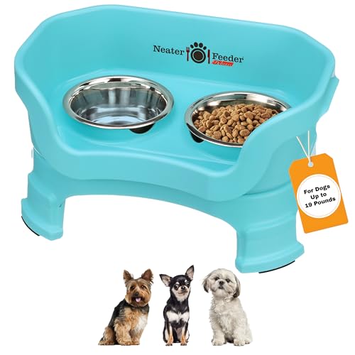Adjustable Elevated Pet Bowl Set with Splash Guard