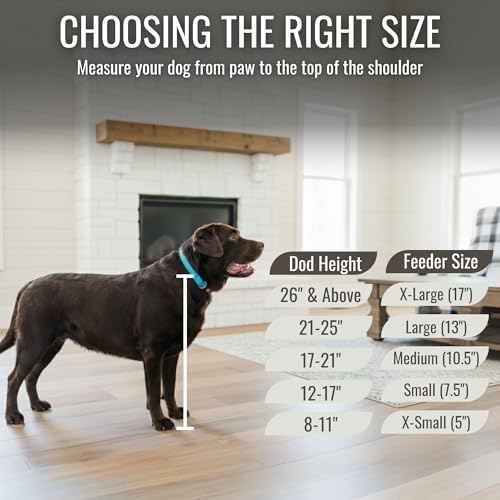 Elevated Dog Bowl Stand with Food Storage Bin