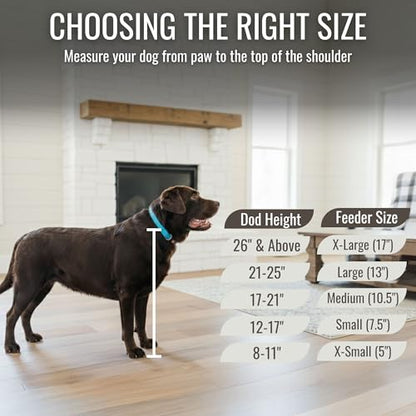 Elevated Dog Bowl Stand with Food Storage Bin