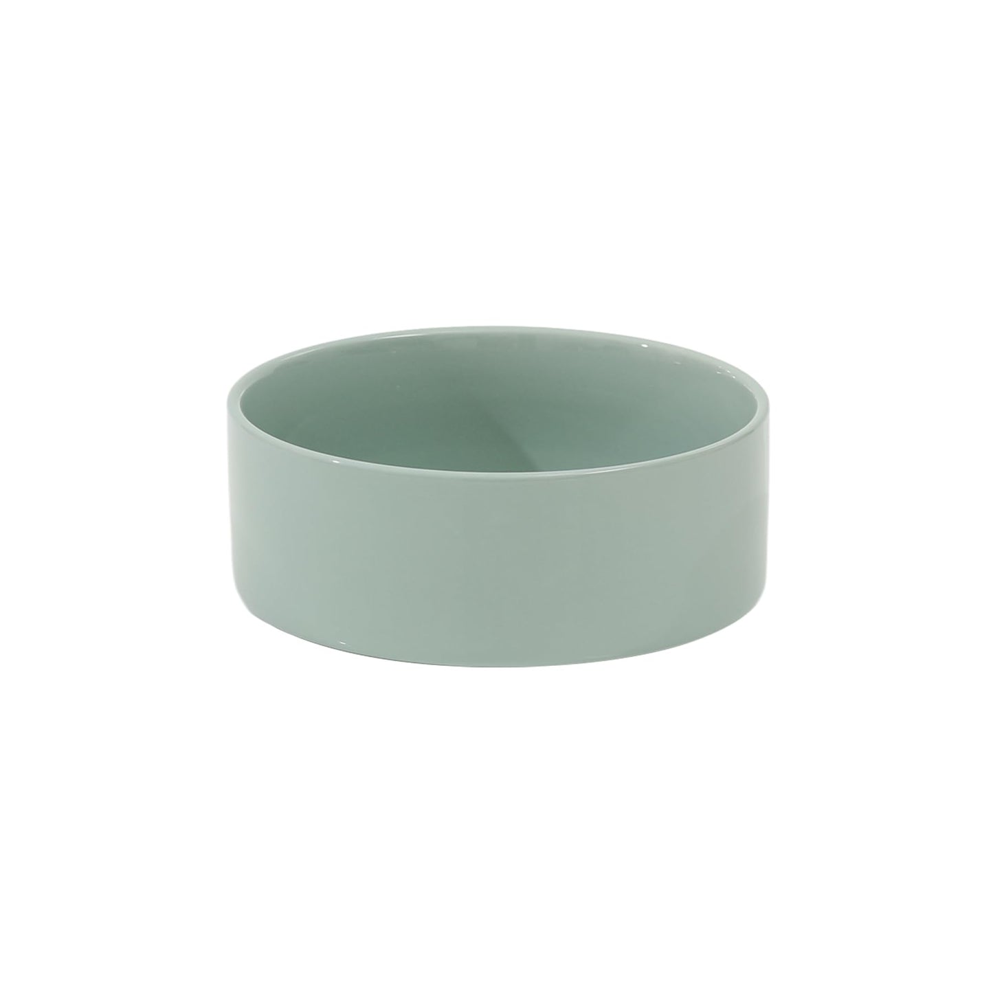 Glazed Dog Food Bowl