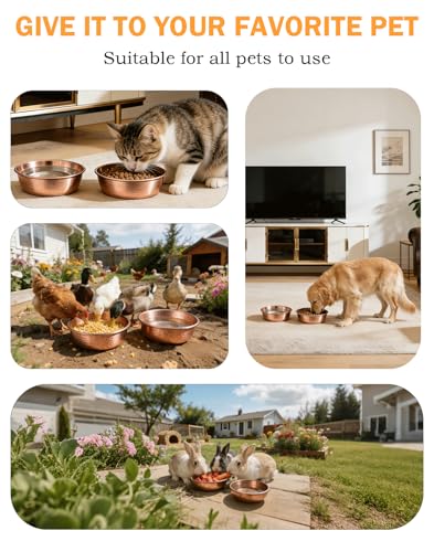 Pure Copper Pet Bowl for Dogs and Cats