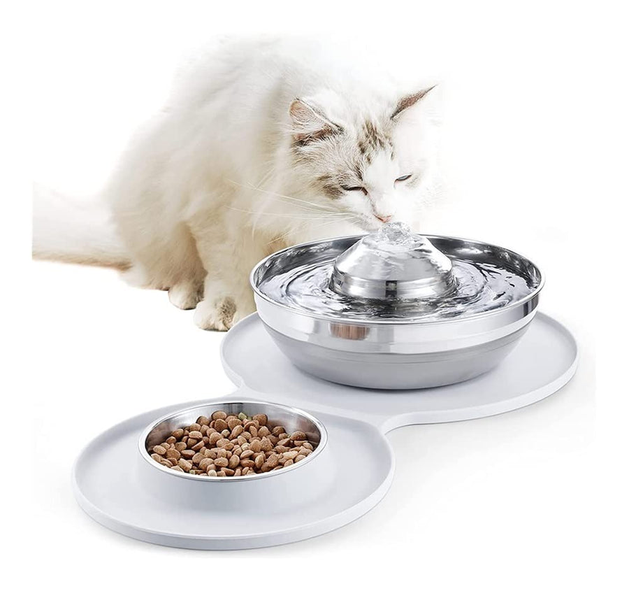 2-in-1 Pet Water Fountain and Feeding Bowl Set