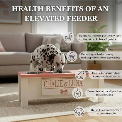 Elevated Dog Bowl Stand with Food Storage Bin