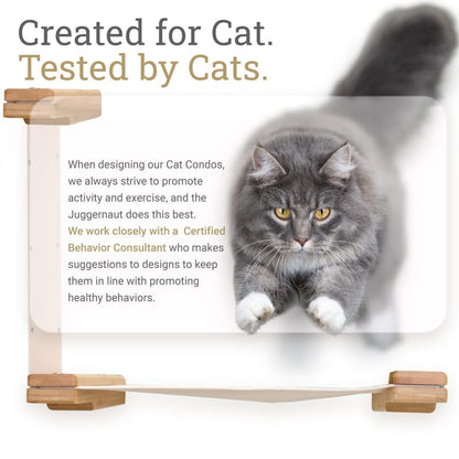 Modern Cat Condo Wall Set with Hammocks & Bridge