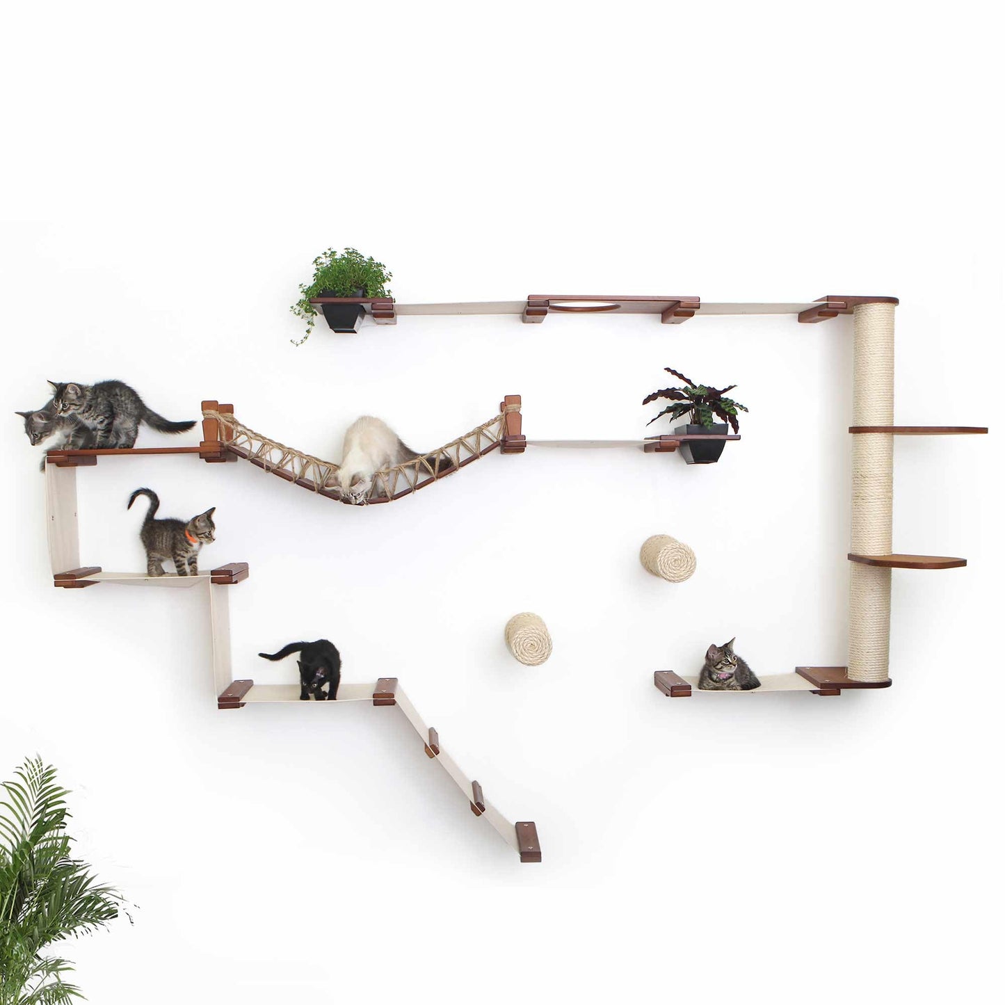 Modern Cat Condo Wall Set with Hammocks & Bridge
