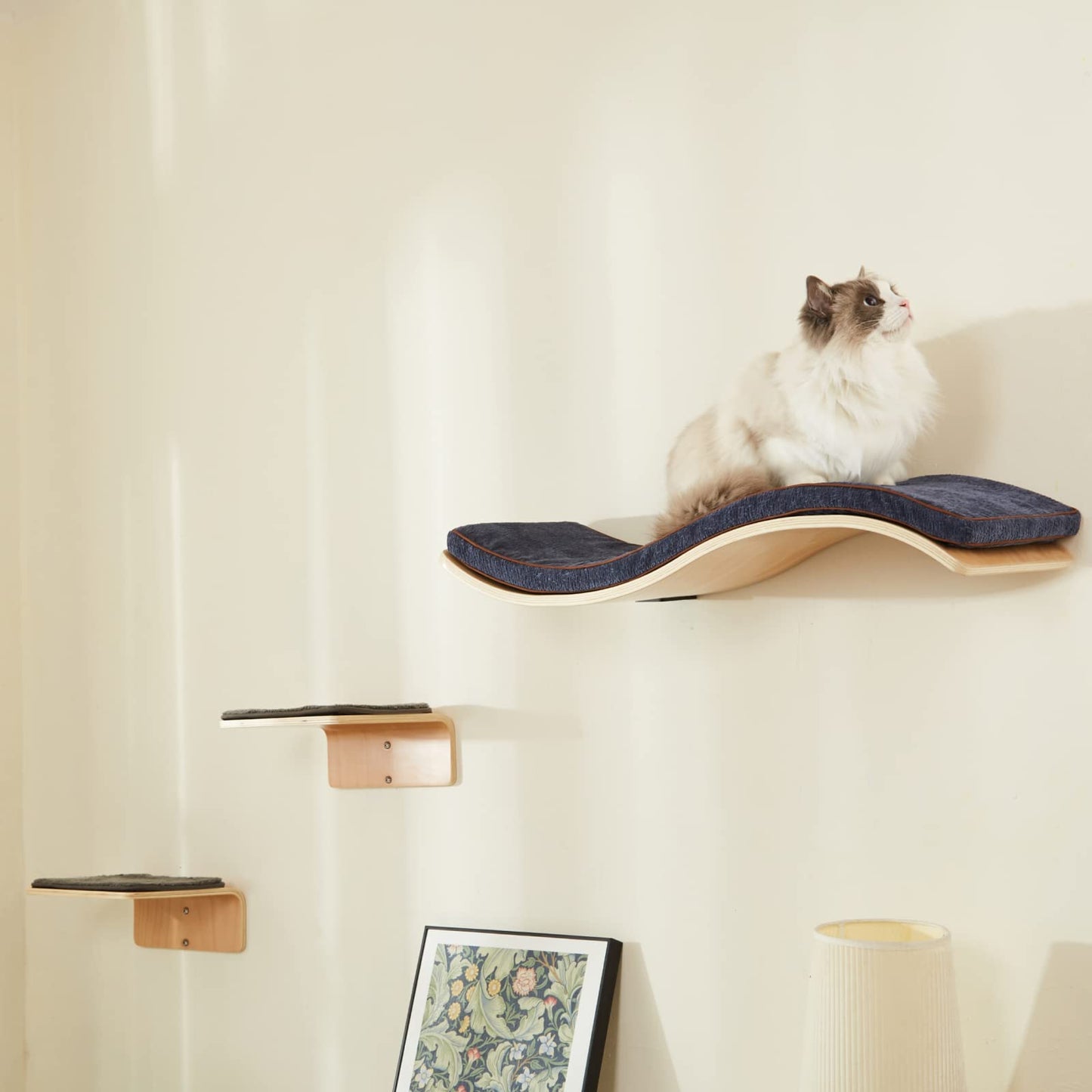Curved Cat Wall Shelf Set with Steps & Perches