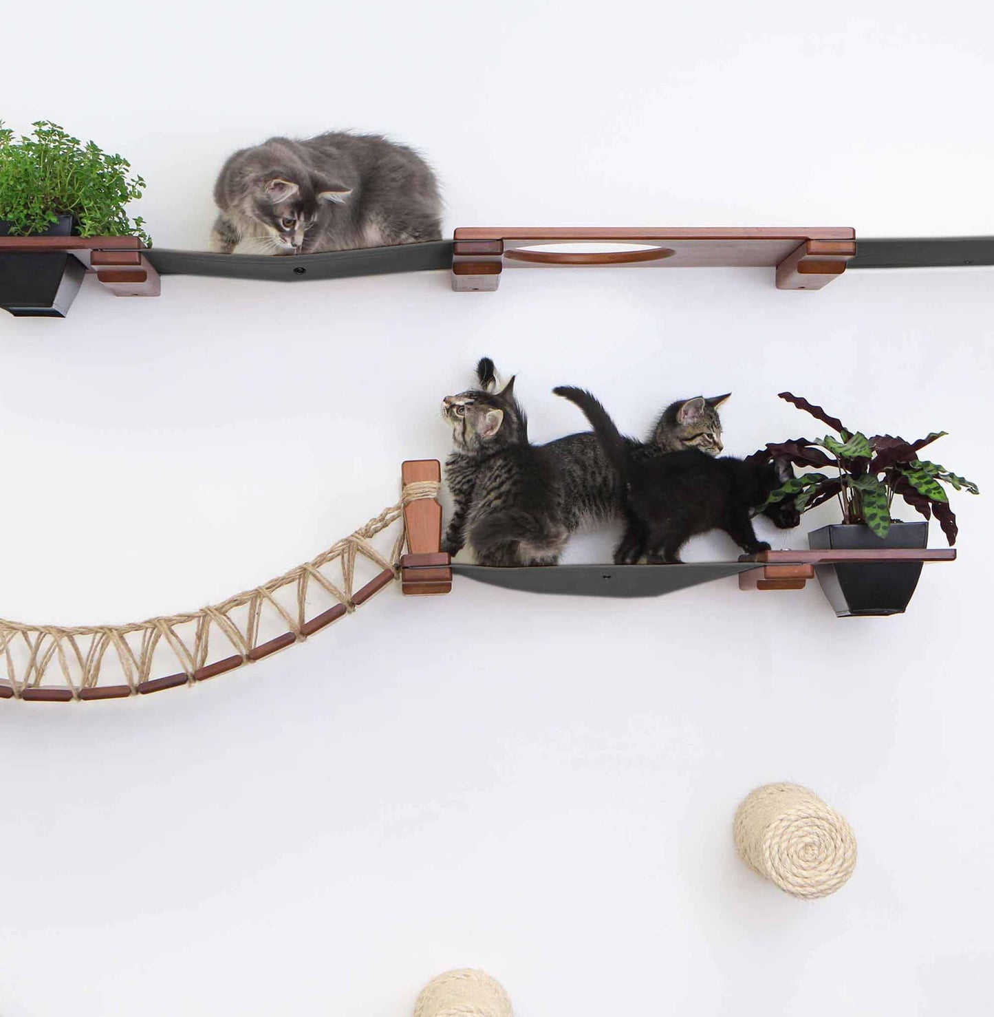 Modern Cat Condo Wall Set with Hammocks & Bridge