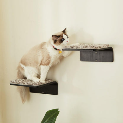 Curved Cat Wall Shelf Set with Steps & Perches