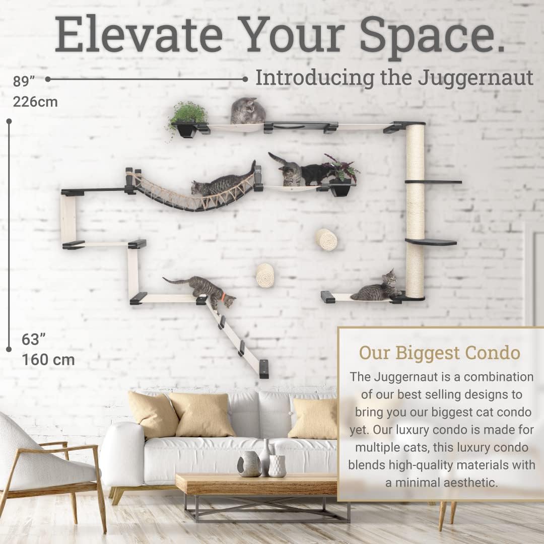 Modern Cat Condo Wall Set with Hammocks & Bridge