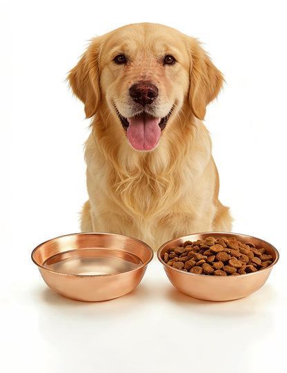 Pure Copper Pet Bowl for Dogs and Cats