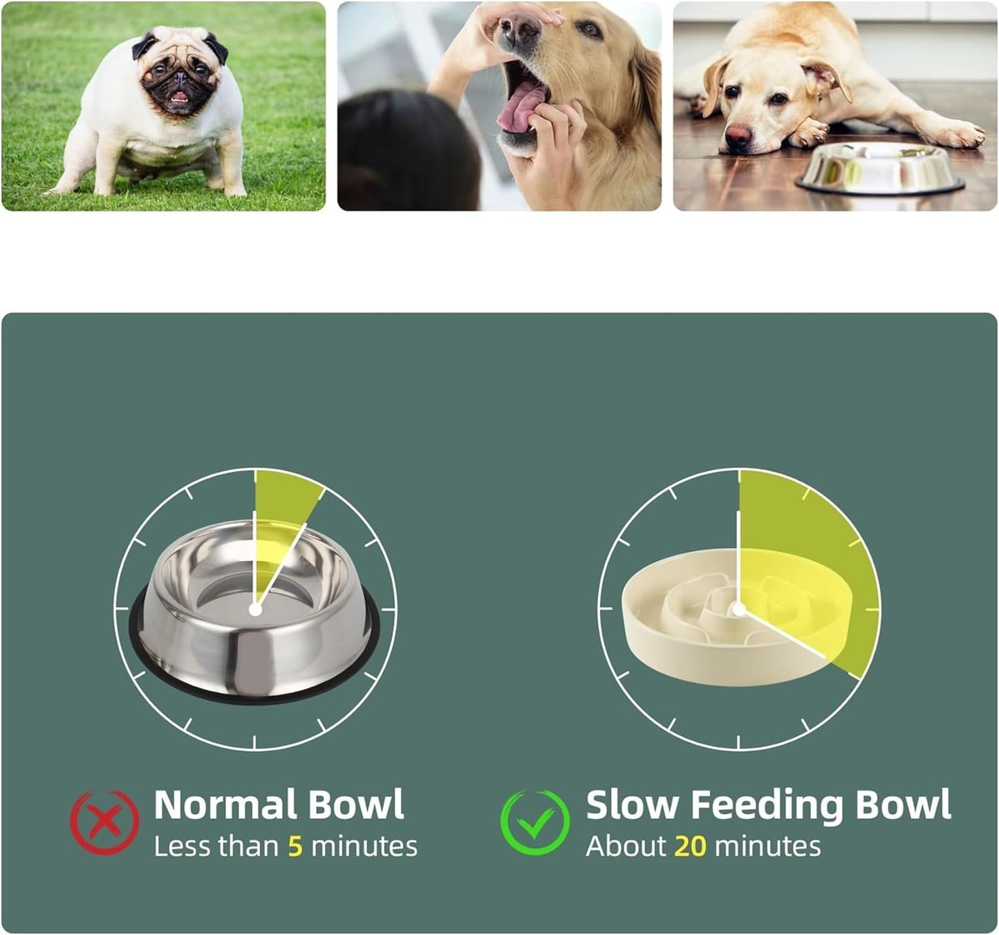 Elevated Slow Feeder Pet Bowl with Wooden Stand