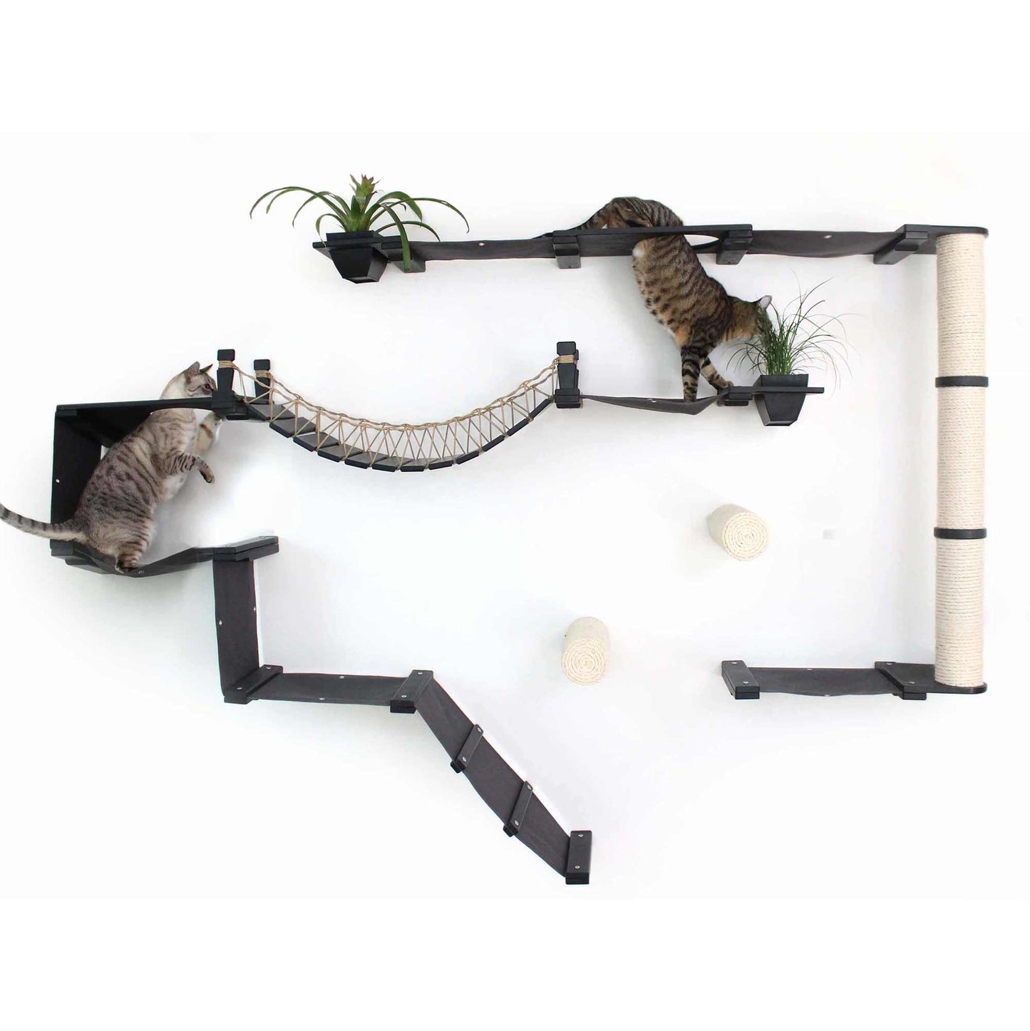 Modern Cat Condo Wall Set with Hammocks & Bridge