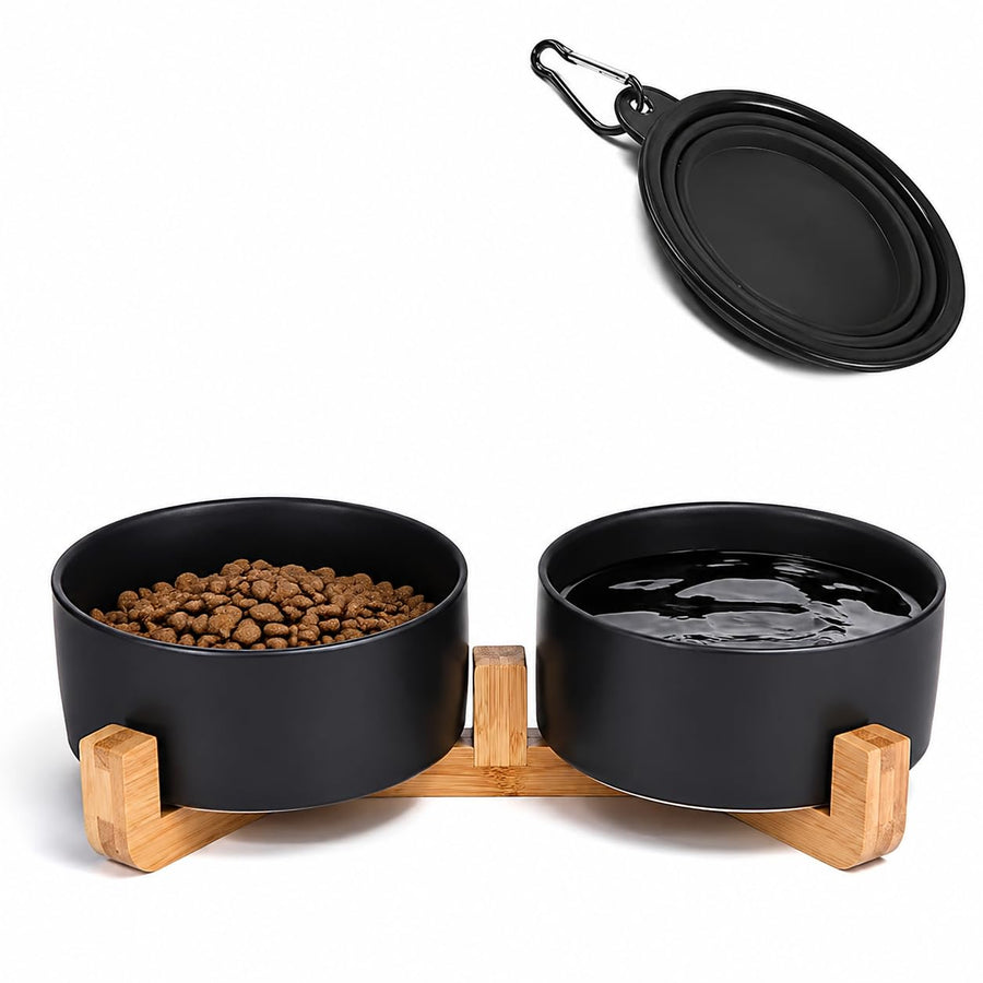 Ceramic Pet Bowl Set with Wooden Stand