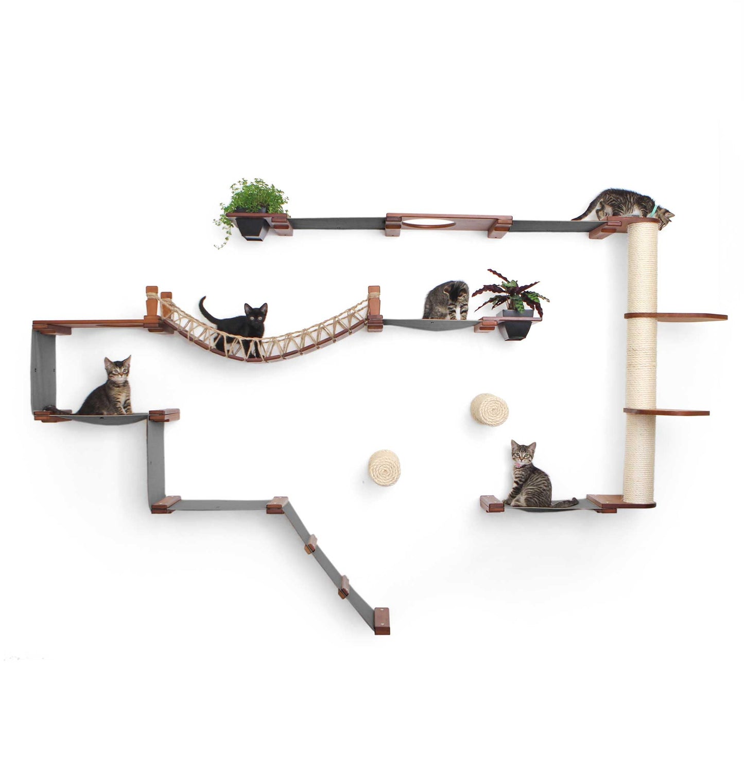 Modern Cat Condo Wall Set with Hammocks & Bridge