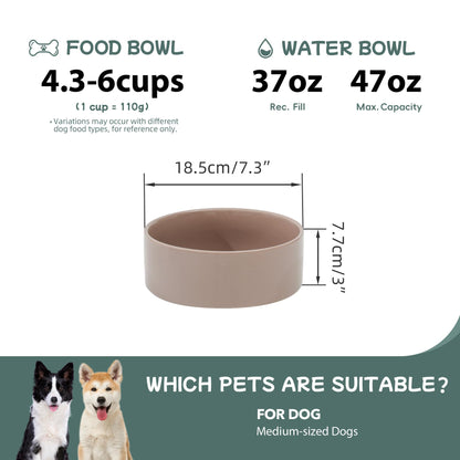 Glazed Dog Food Bowl