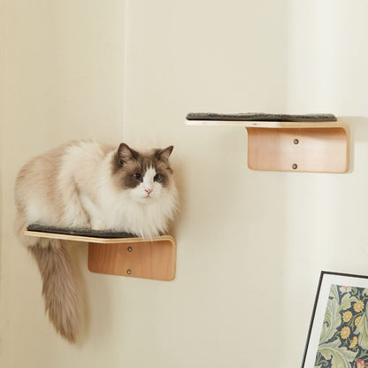 Curved Cat Wall Shelf Set with Steps & Perches