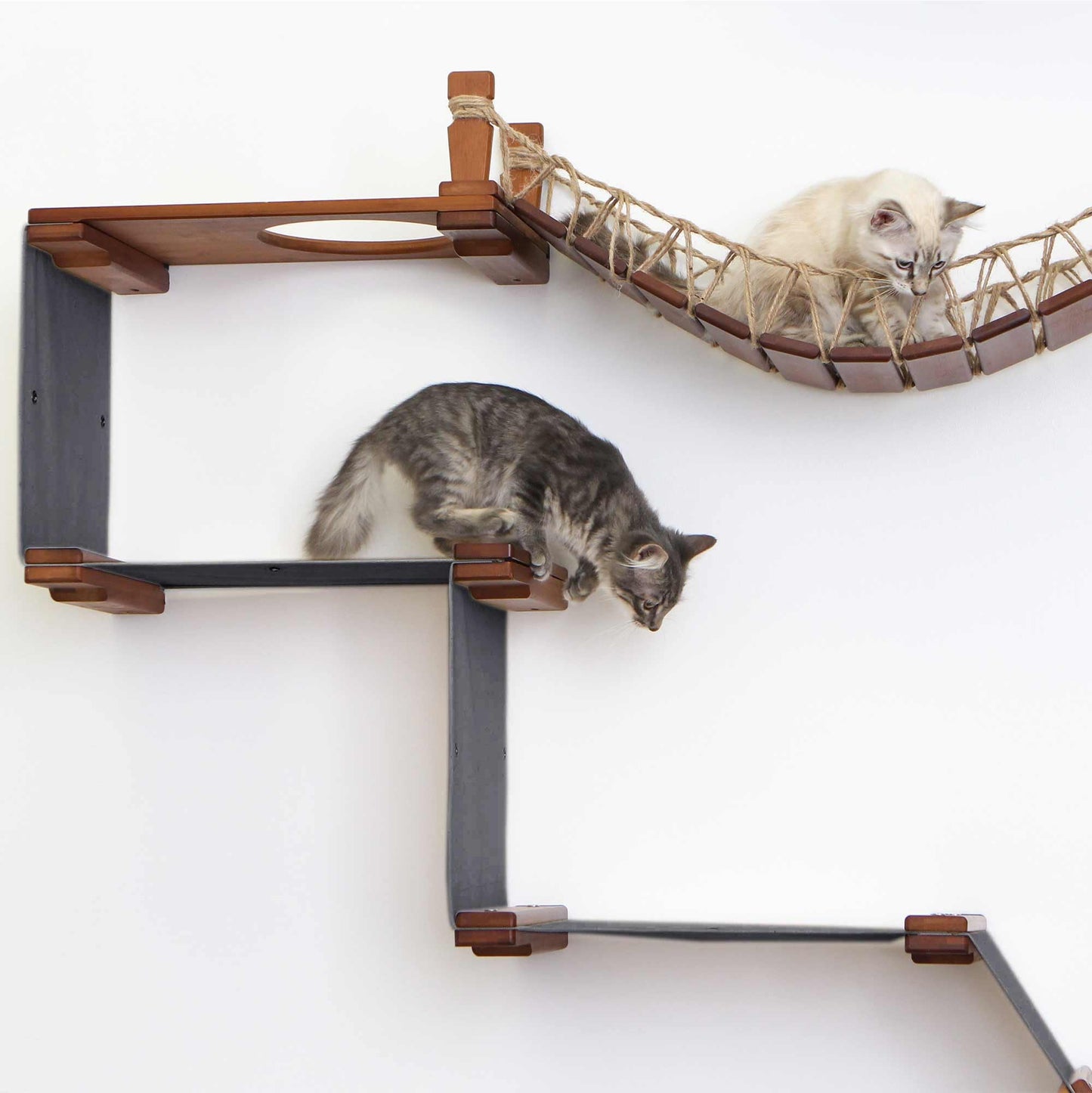 Modern Cat Condo Wall Set with Hammocks & Bridge