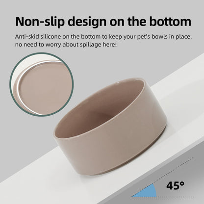 Glazed Dog Food Bowl