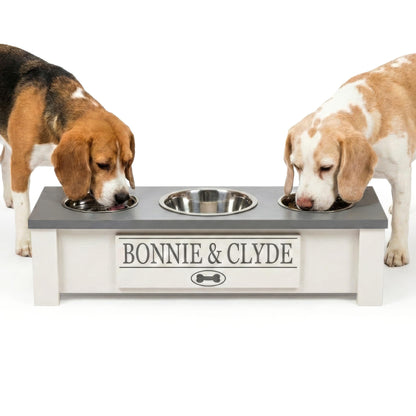 Elevated Dog Bowl Stand with Food Storage Bin