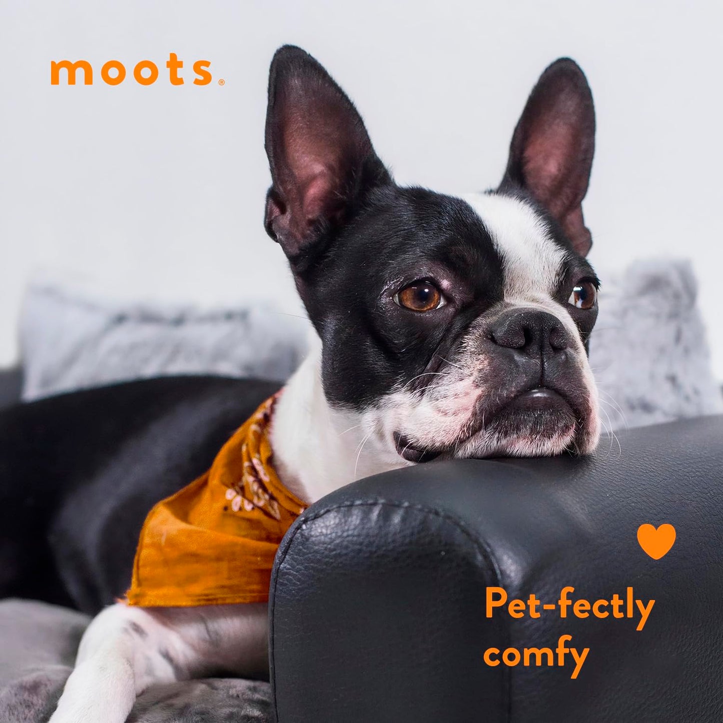 Leatherette Pet Bed V2