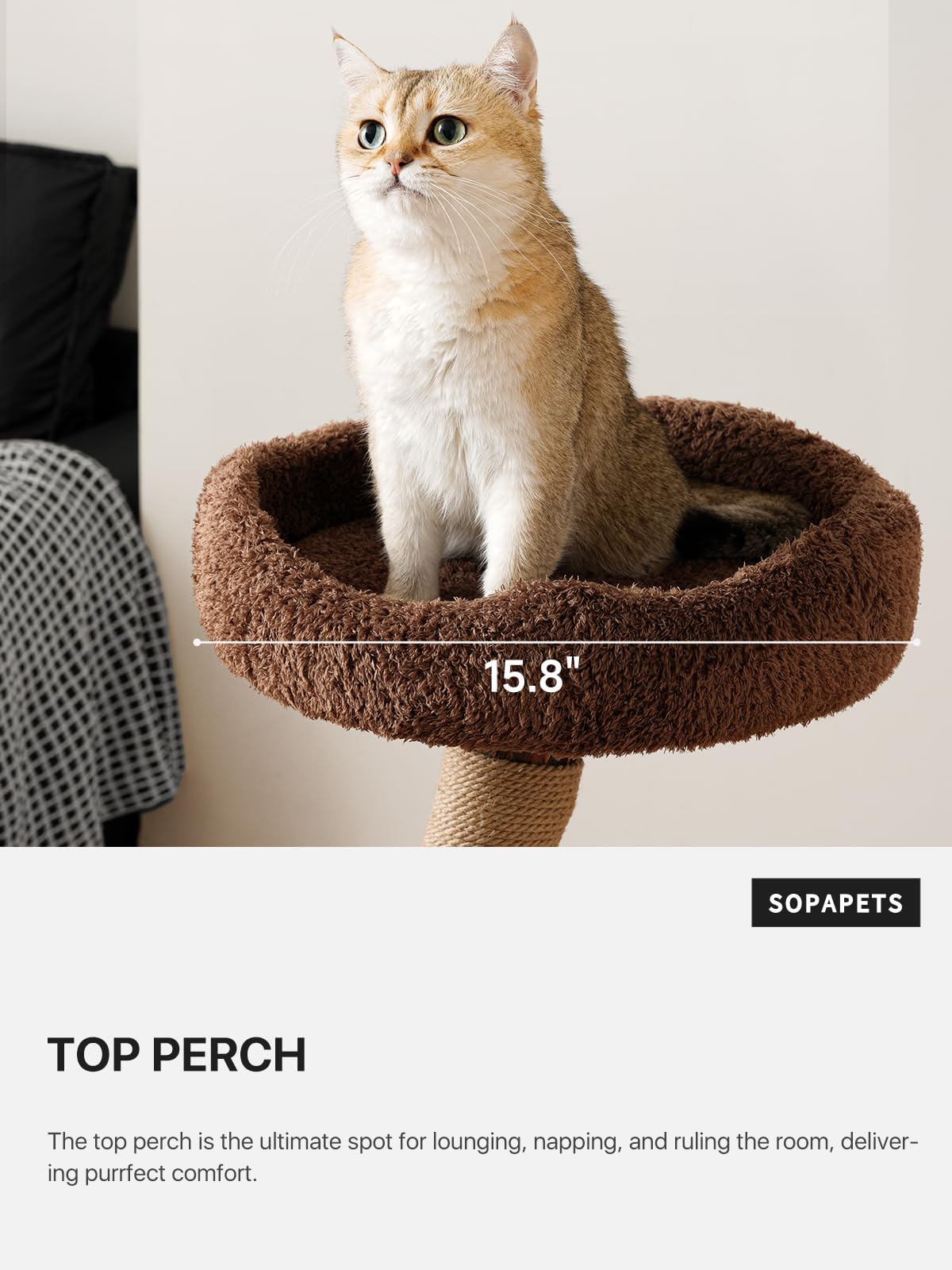 68-Inch Wooden Cat Tree with Condo & Perches