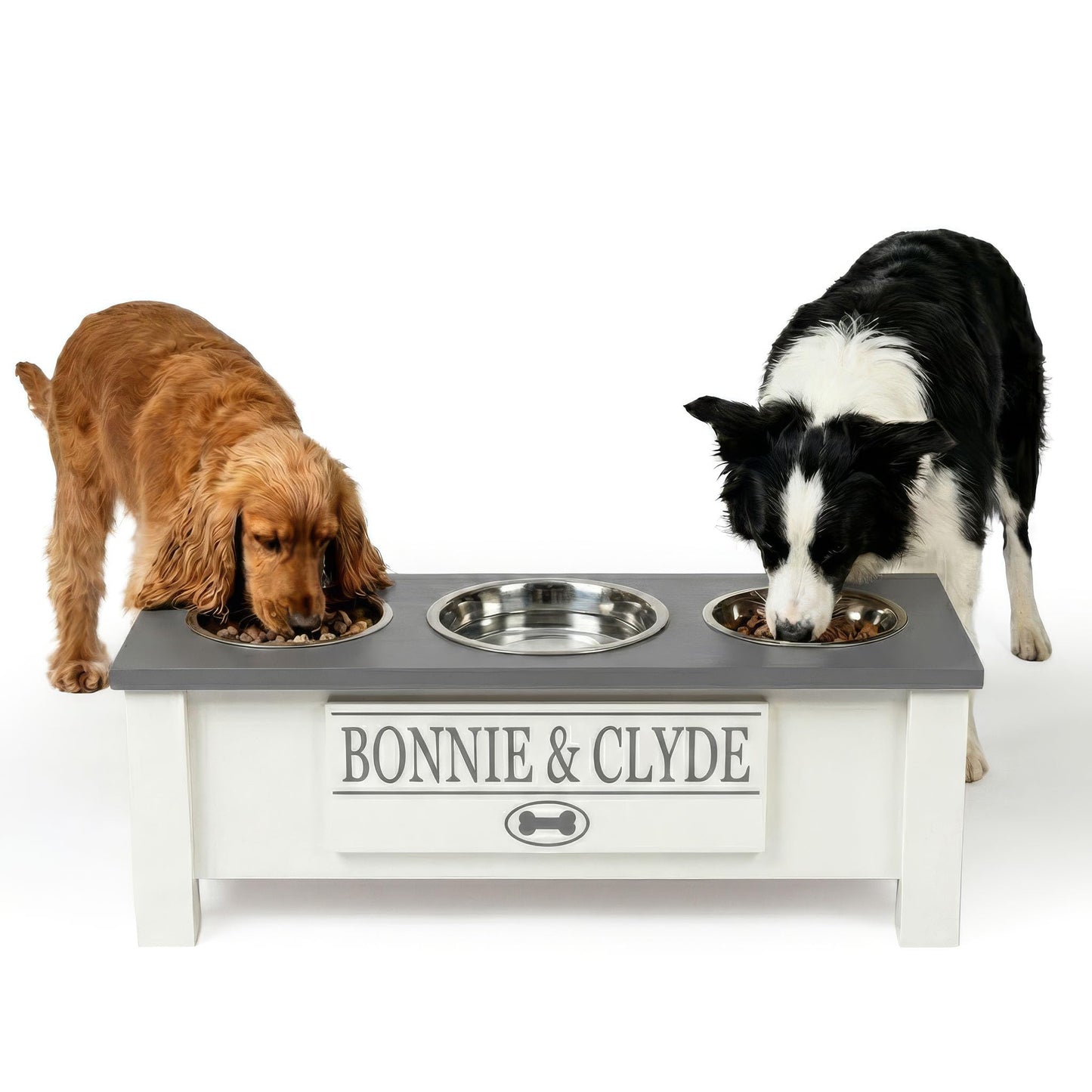 Elevated Dog Bowl Stand with Food Storage Bin