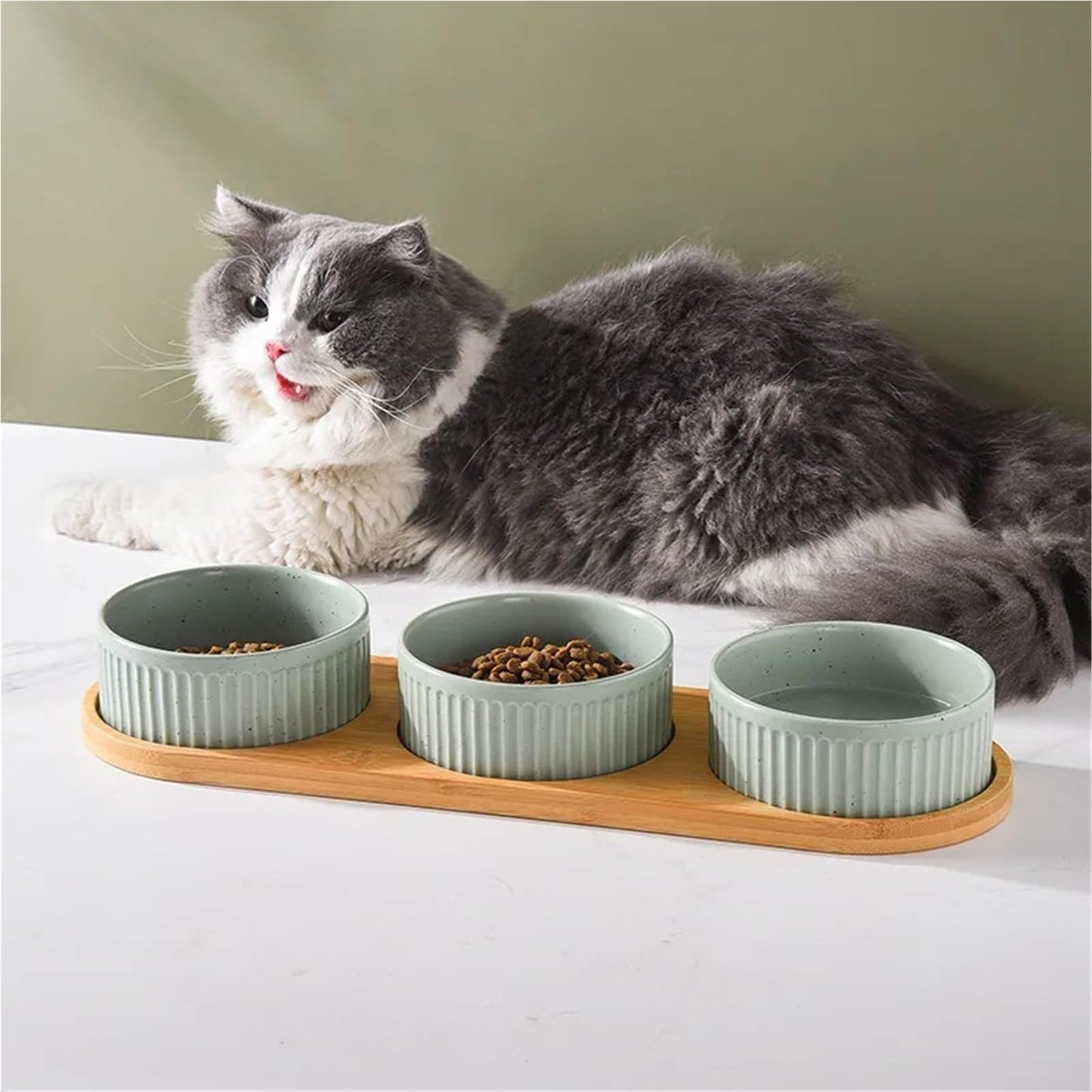Ceramic Pet Bowl Set with Wooden Stand