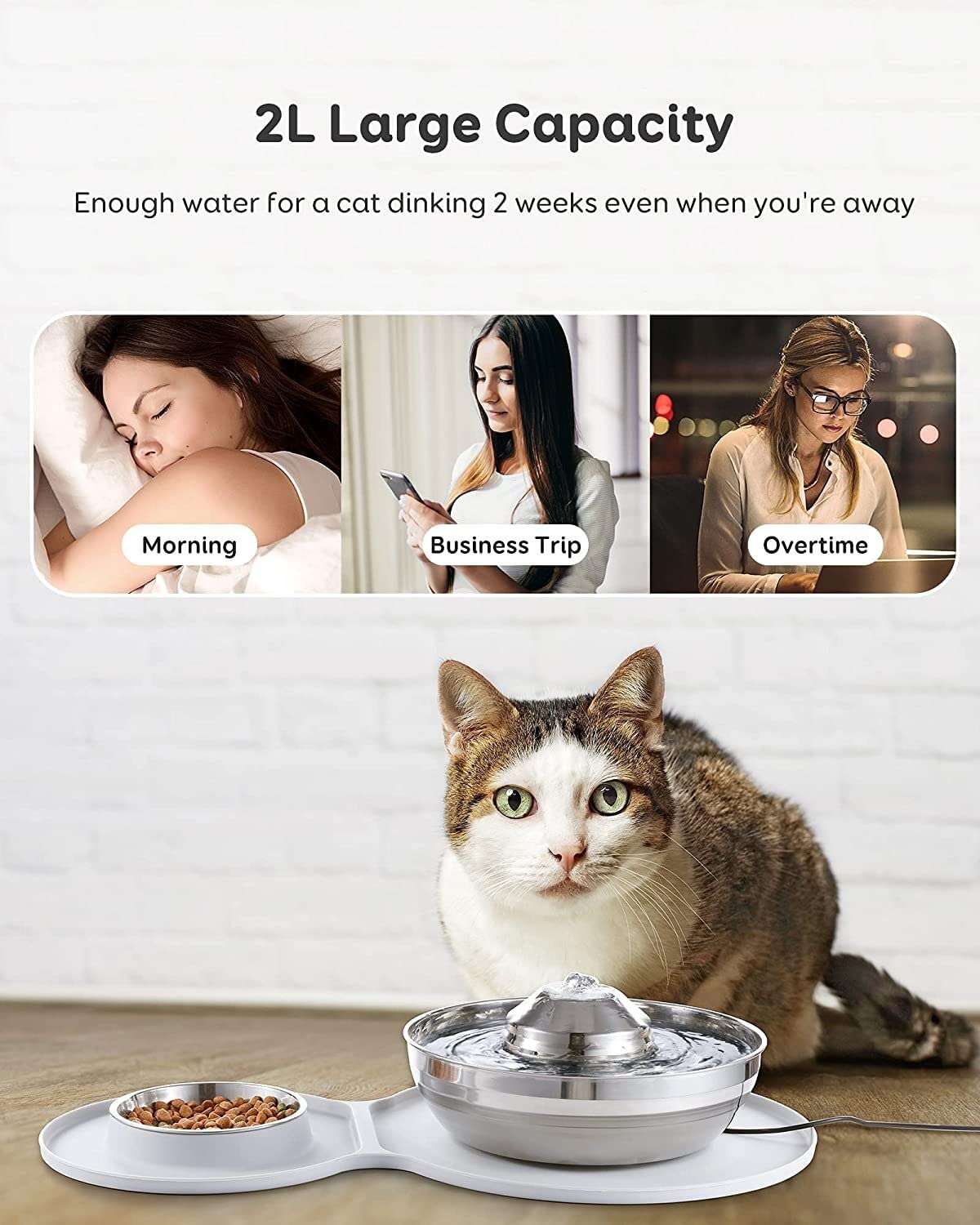 2-in-1 Pet Water Fountain and Feeding Bowl Set