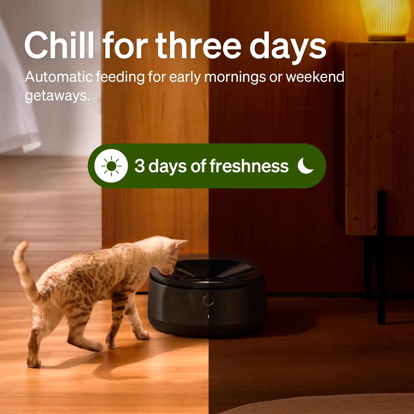 Automatic Wet Food Feeder with Refrigerated Bowl