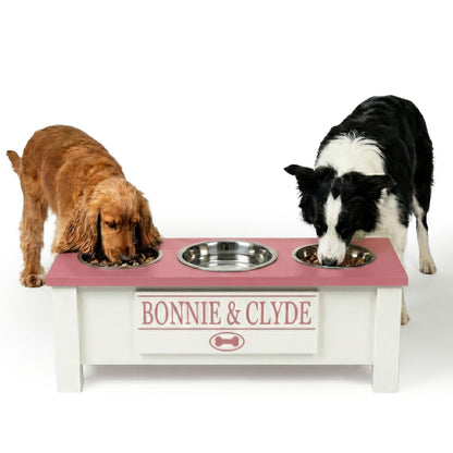 Elevated Dog Bowl Stand with Food Storage Bin