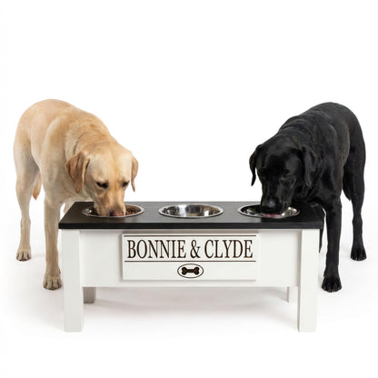 Elevated Dog Bowl Stand with Food Storage Bin