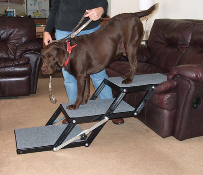 Portable Pet Access Platform Step 16-Inch