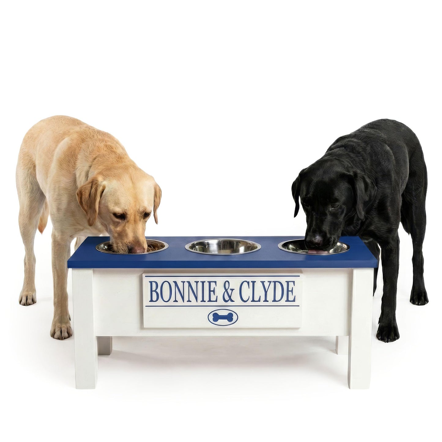 Elevated Dog Bowl Stand with Food Storage Bin