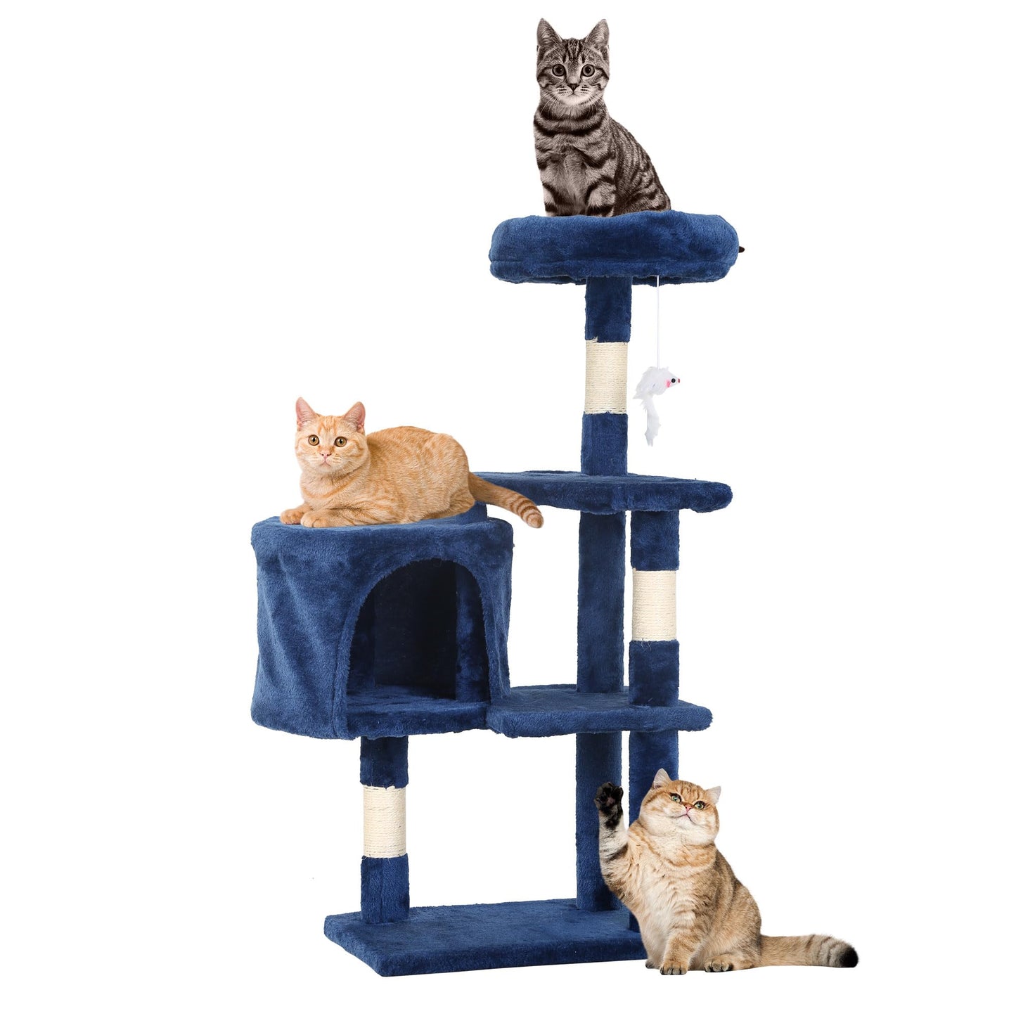 Multi-Level Cat Tree with Condo & Scratching Posts
