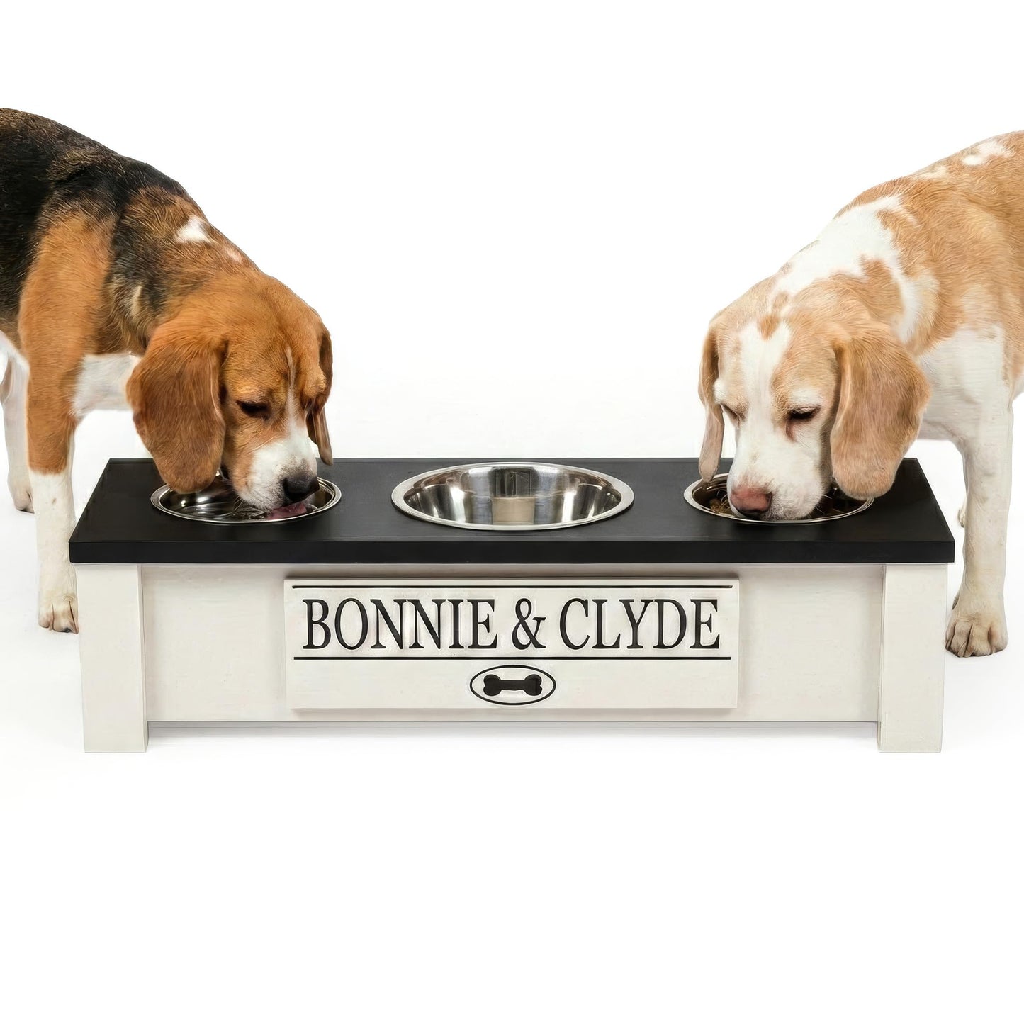 Elevated Dog Bowl Stand with Food Storage Bin
