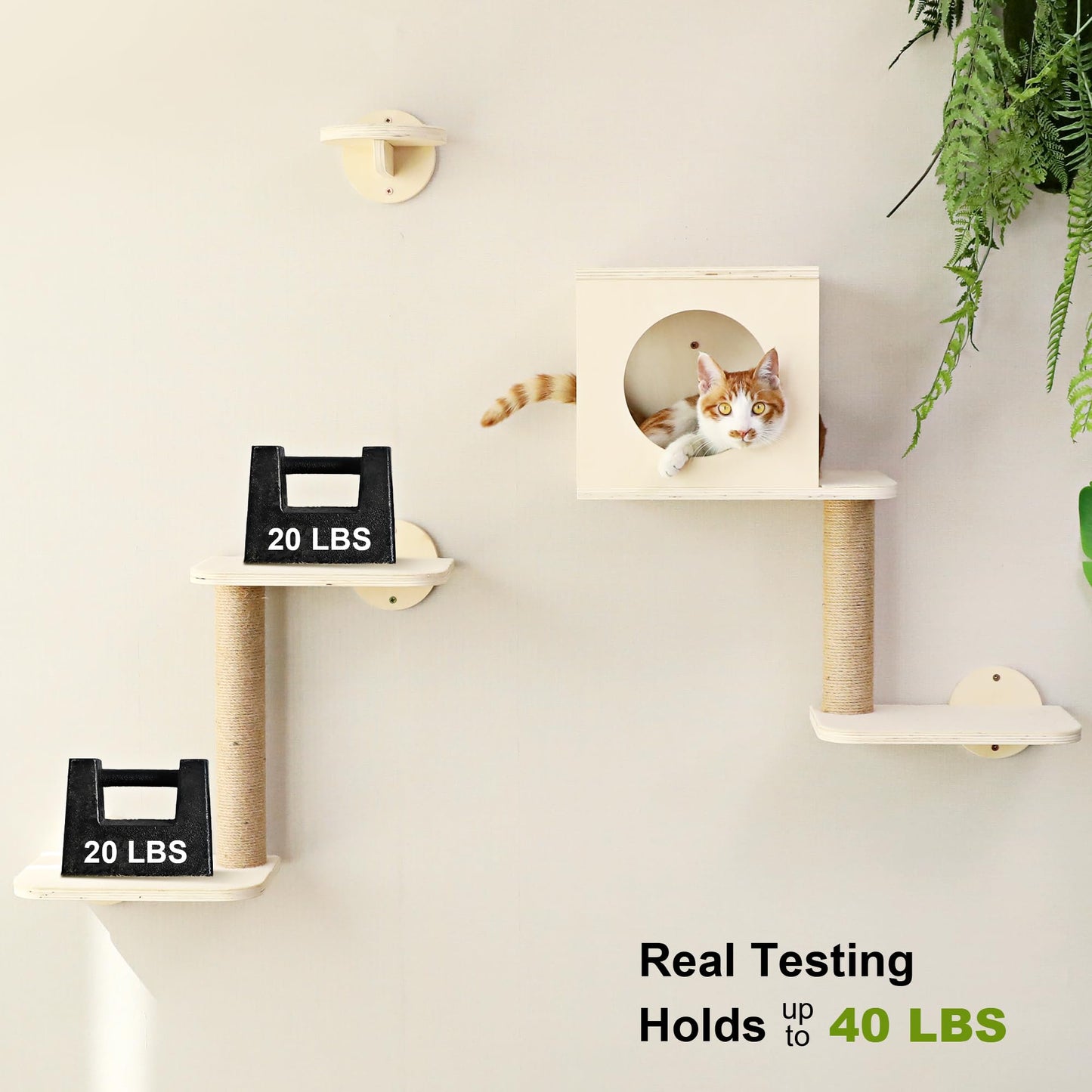 Cat Wall Shelves & Climbing Furniture Set