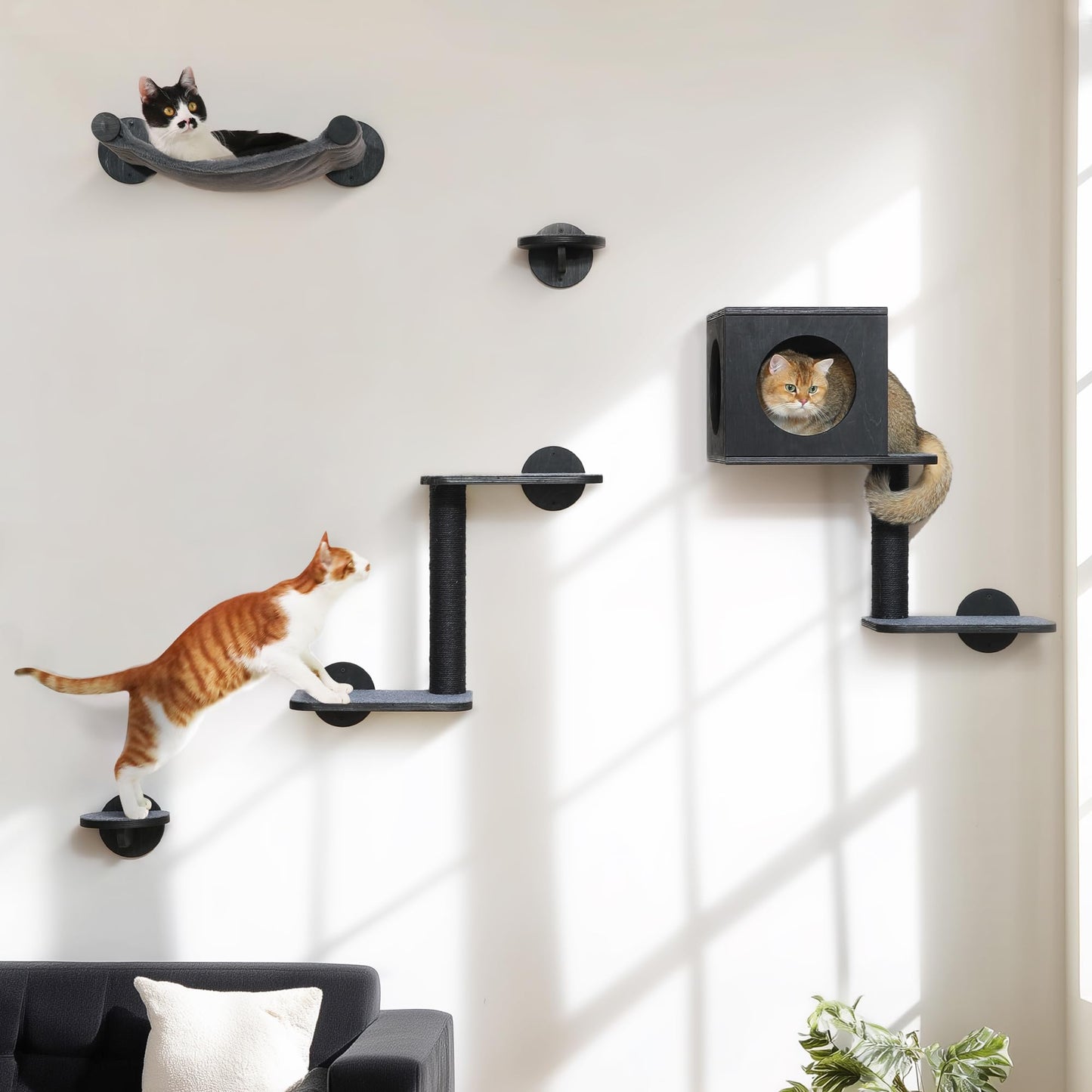 Cat Wall Shelves & Climbing Furniture Set