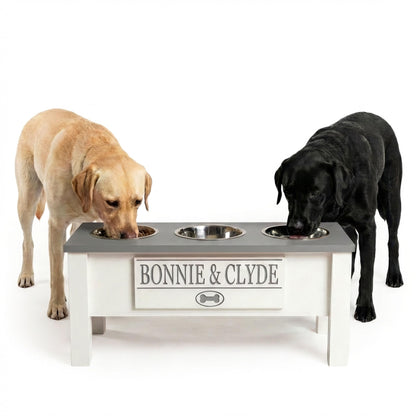 Elevated Dog Bowl Stand with Food Storage Bin