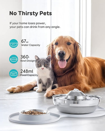 2-in-1 Pet Water Fountain and Feeding Bowl Set