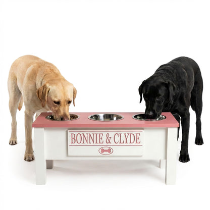 Elevated Dog Bowl Stand with Food Storage Bin