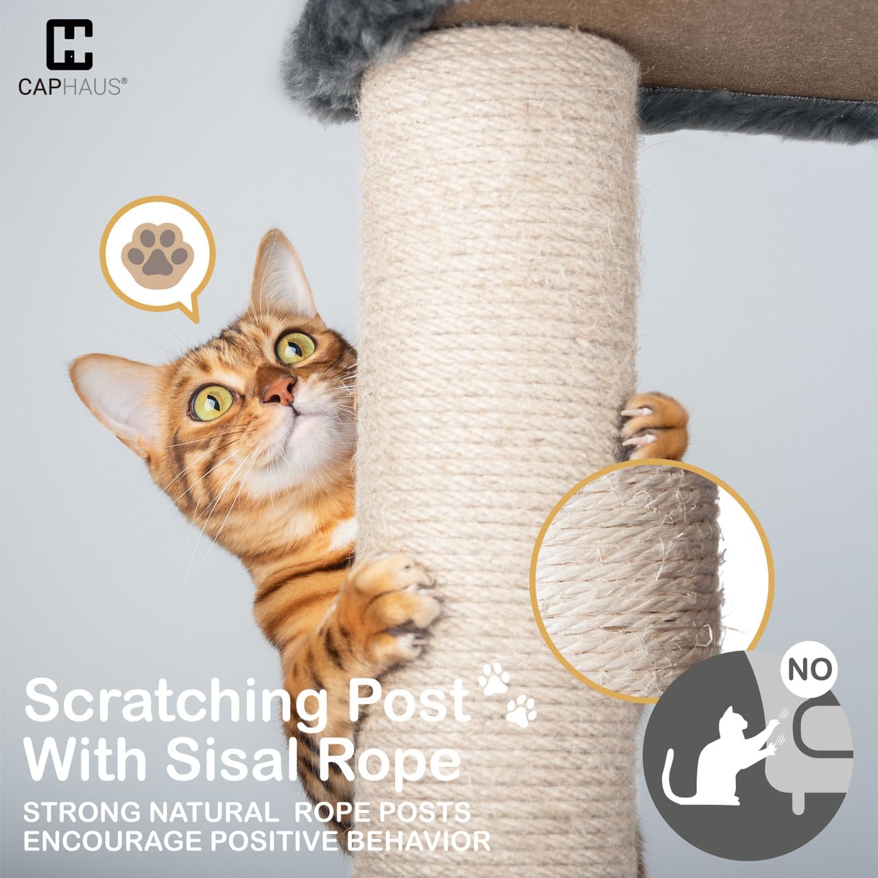 80-Inch Large Cat Tree with Condo & Hammock