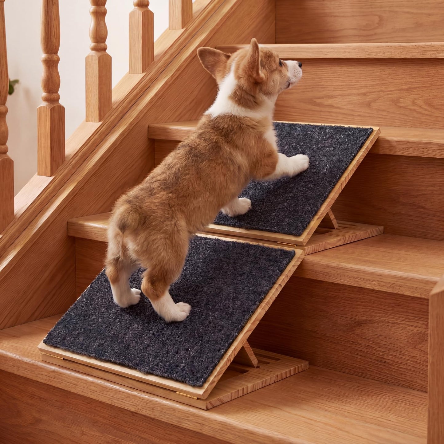 Adjustable Foldable Pet Ramp with Non-Slip Surface